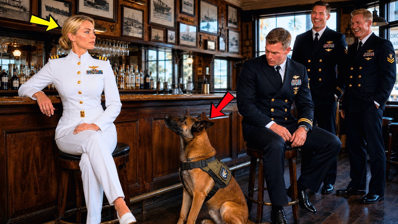 A SEAL Mocked Me At The Coronado Bar—Then His Squadron’s K9 Heard My Voice And Sat At Heel