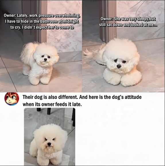 CAN PETS SENSE THEIR OWNER’S EMOTIONS?